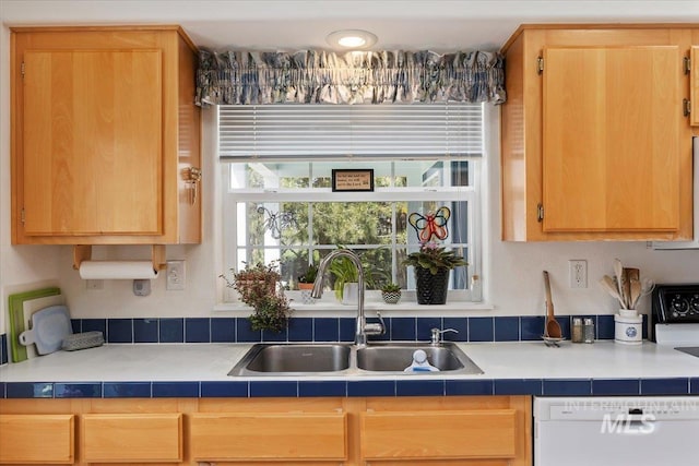 321 S 600 E, Jerome, ID 83338 - kitchen with white dishwasher, a sink, and light brown cabinetry
