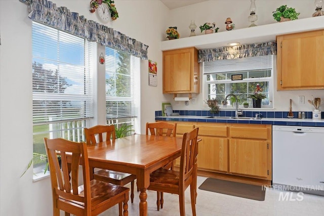 321 S 600 E, Jerome, ID 83338 - kitchen with white dishwasher, a sink, and tile counters