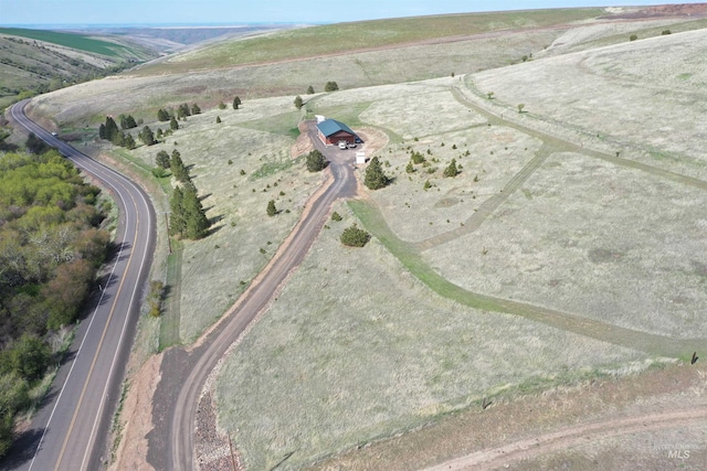 bird's eye view