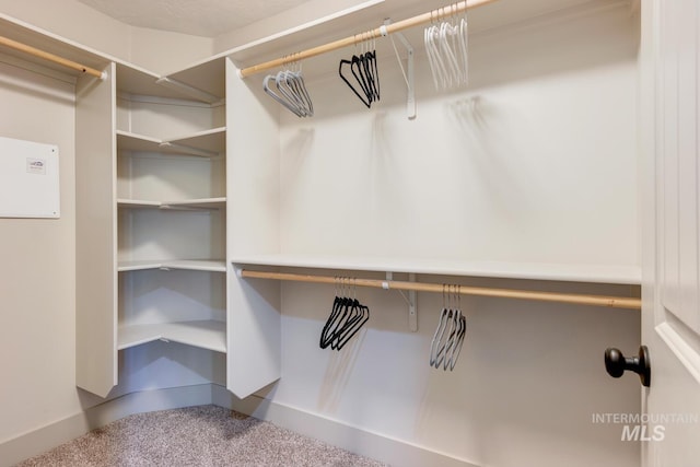 spacious closet with carpet