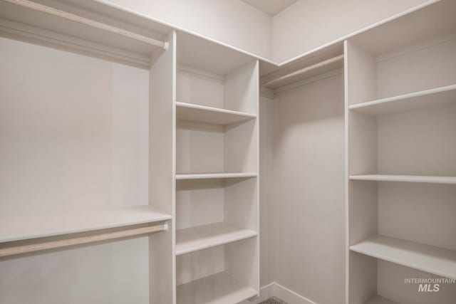 1100 Tanglewood St, Burley, ID 83318 - view of spacious closet