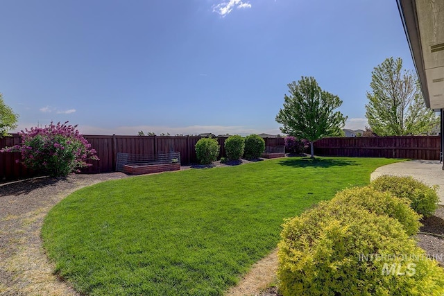 3713 W Ladle Rapids St, Meridian, ID 83646 - view of yard with a fenced backyard