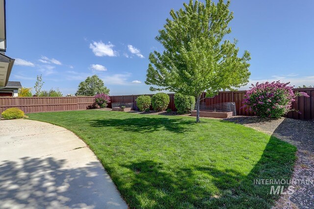 3713 W Ladle Rapids St, Meridian, ID 83646 - view of yard with a fenced backyard and a patio