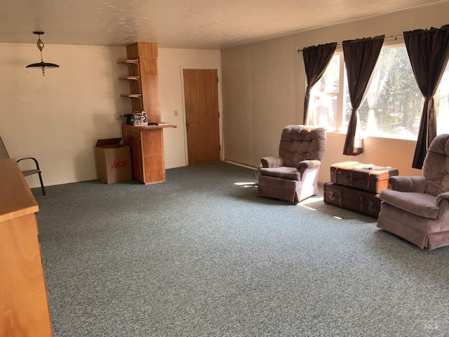 living area featuring carpet flooring