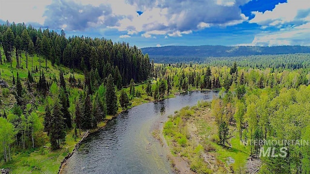 birds eye view of property with a forest view and a water view