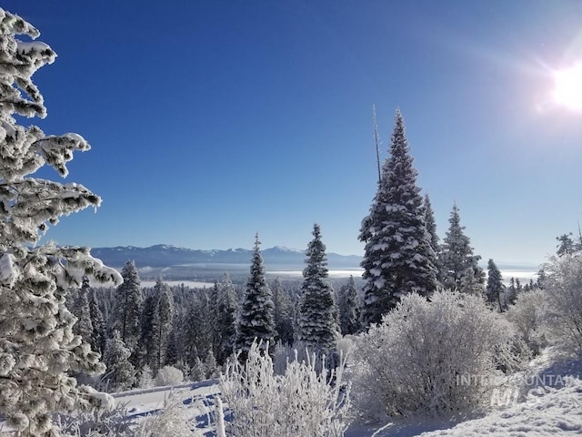 property view of mountains with a wooded view