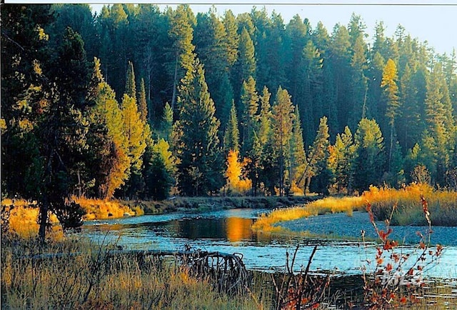 view of community with a water view and a forest view