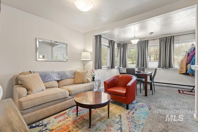 2517/2519 N 21st, Boise, ID 83702 - living area with carpet flooring and baseboard heating