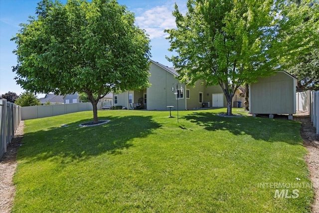 view of yard with a shed