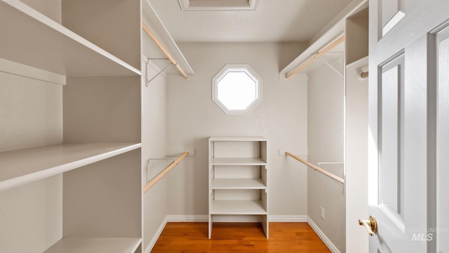 walk in closet featuring wood finished floors