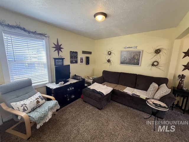 carpeted living room with a textured ceiling