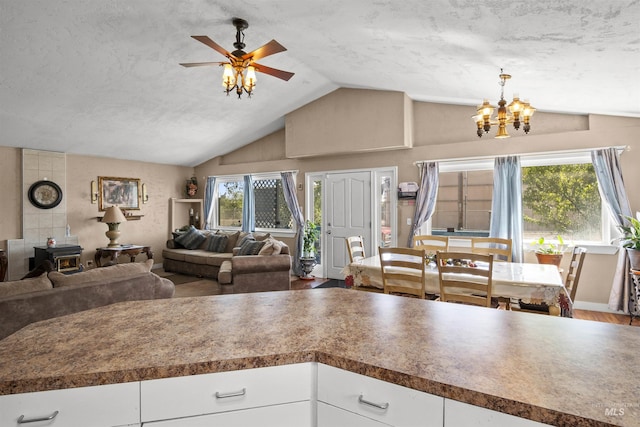 642 Oak St, Twin Falls, ID 83301 - kitchen with a wood stove, vaulted ceiling, healthy amount of natural light, a ceiling fan, and open floor plan