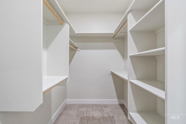 walk in closet featuring carpet