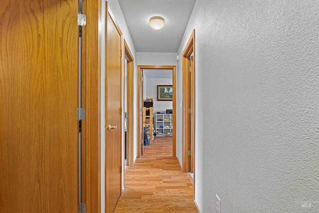 3404 Chukar Ln, Clarkston, WA 99403 - hall with light wood finished floors and a textured wall