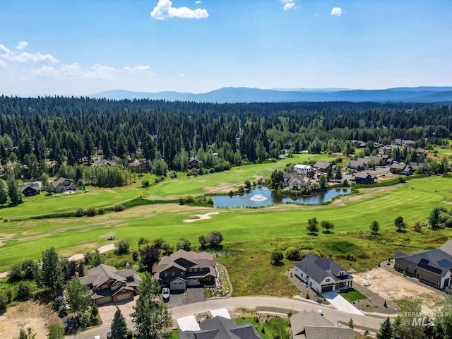 1400 Mountain Meadow Dr, Mccall, ID 83638