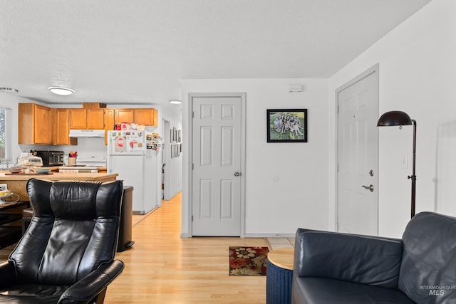living room with light wood-style floors