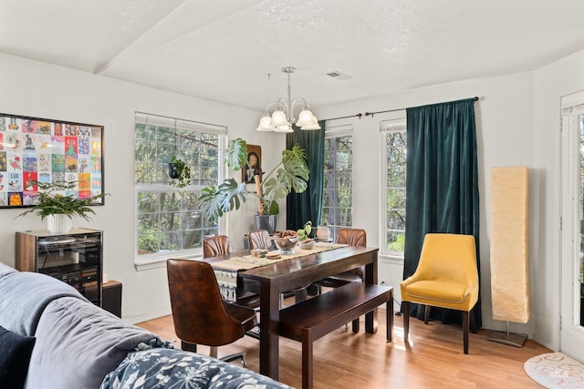dining room featuring light wood-style floors, a healthy amount of sunlight, and a notable chandelier
