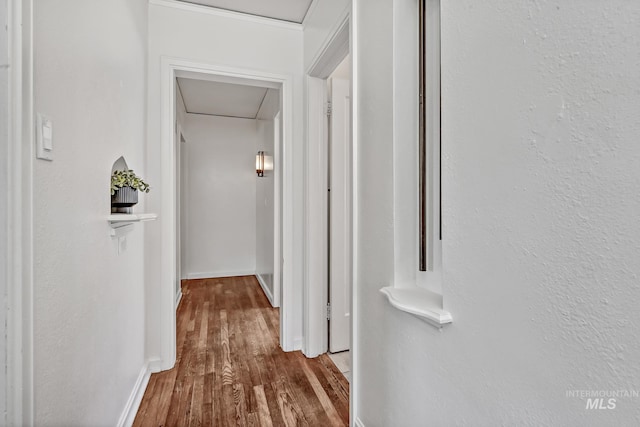 hall featuring wood finished floors