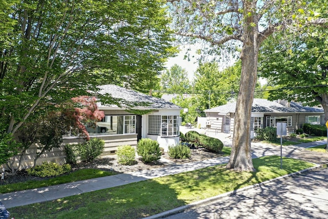 ranch-style house featuring a front yard