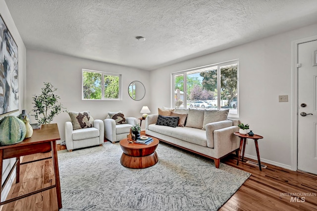 living room with a textured ceiling and wood-type flooring