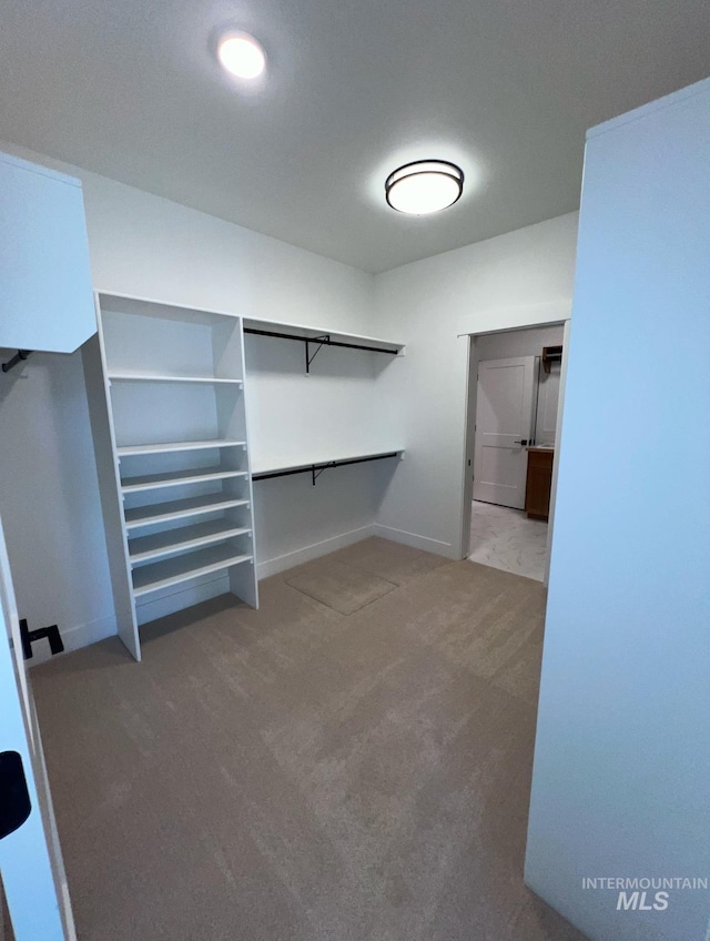 11233 S Saylis Pl, Kuna, ID 83634 - walk in closet with carpet floors