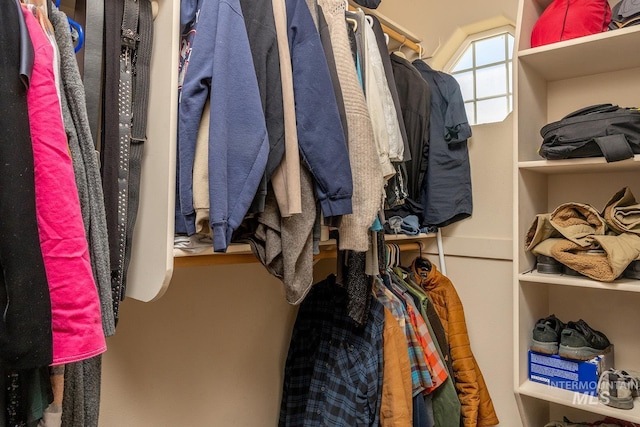 view of walk in closet