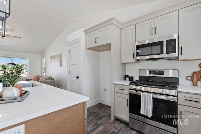 kitchen with lofted ceiling, light countertops, and appliances with stainless steel finishes