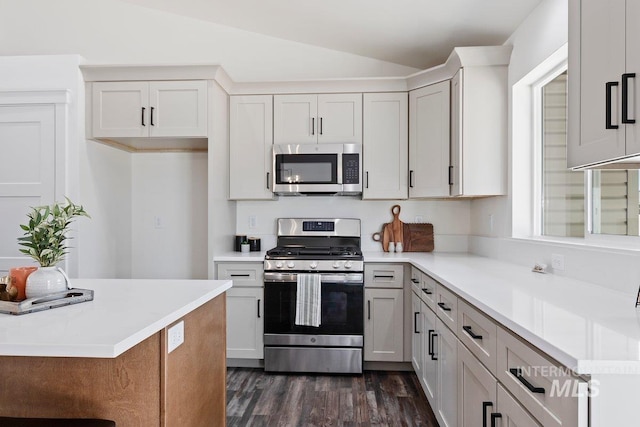 kitchen featuring vaulted ceiling, dark wood-style flooring, stainless steel appliances, and light countertops