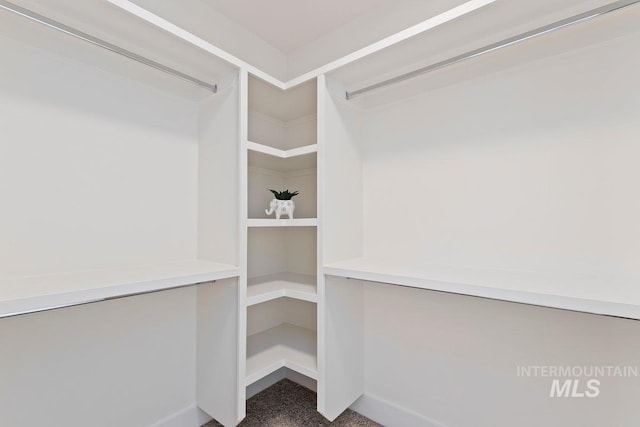 walk in closet with carpet