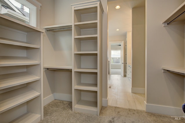 1149 E Crescendo St, Meridian, ID 83642 - walk in closet with light carpet