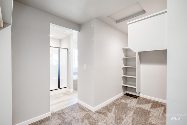 spacious closet featuring light colored carpet