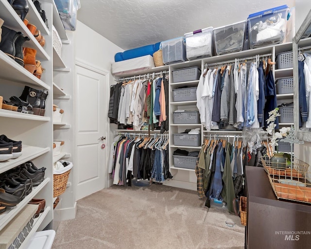 spacious closet with carpet flooring