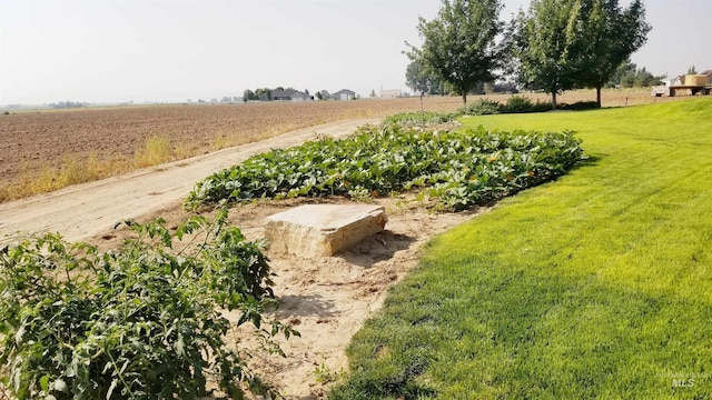 view of yard with a rural view