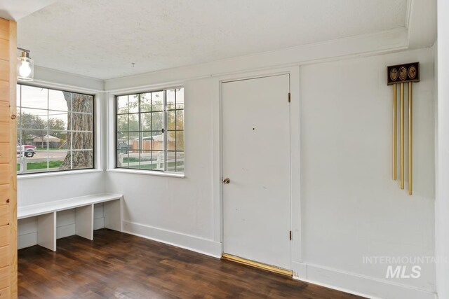 entrance foyer with baseboards, wood finished floors, and plenty of natural light