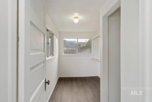 walk in closet featuring dark wood-type flooring