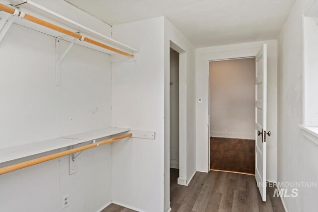 spacious closet with wood finished floors