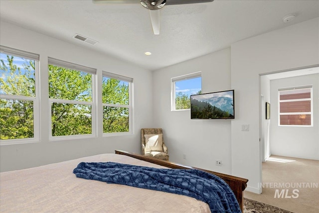 3602 N Prospect Way, Garden City, ID 83714 - carpeted bedroom featuring ceiling fan