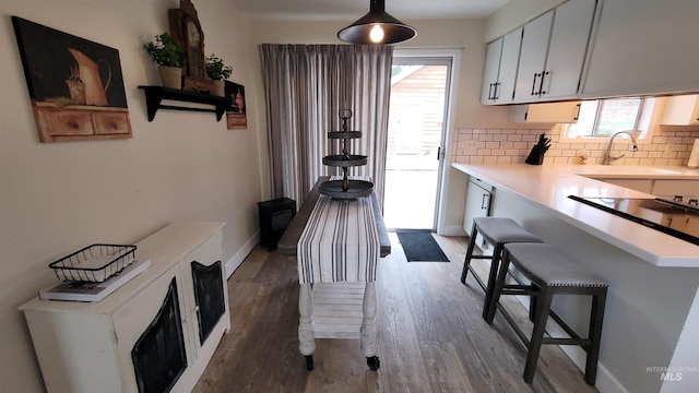 interior space featuring backsplash, wood finished floors, light countertops, and a sink