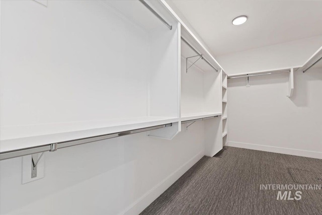 walk in closet with dark colored carpet