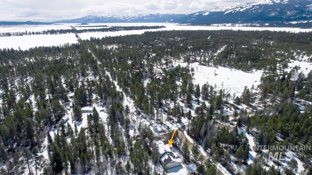 snowy aerial view with a mountain view