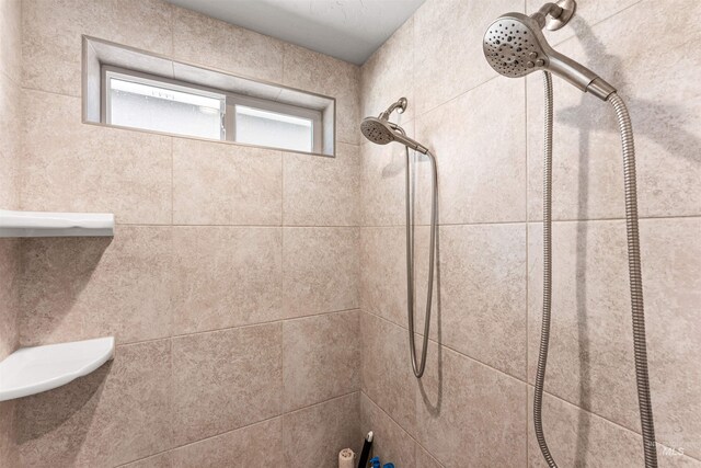 1670 Mary Hill Ave, Middleton, ID 83644 - bathroom with a tile shower