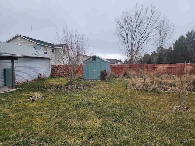 view of yard with a storage shed