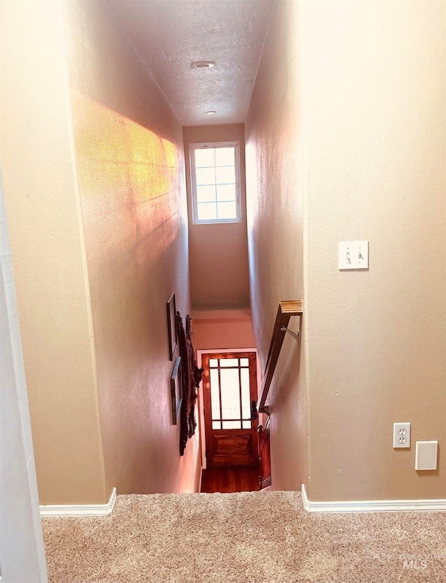 stairway with a textured ceiling and carpet flooring