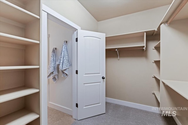 walk in closet with carpet flooring