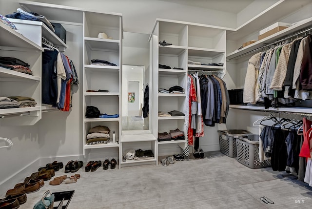 2313 S Aburge Ave, Meridian, ID 83642 - view of spacious closet