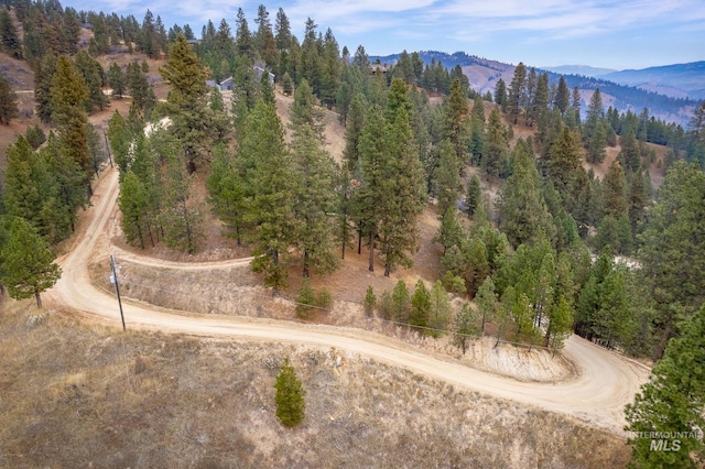 173 Wilderness Way, Boise, ID 83716