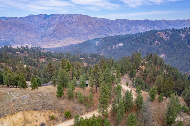 173 Wilderness Way, Boise, ID 83716