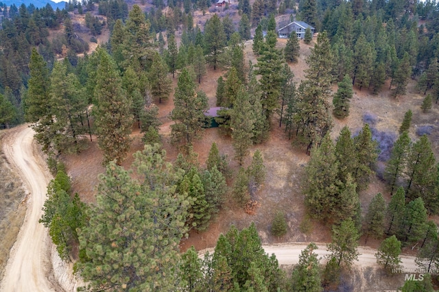 173 Wilderness Way, Boise, ID 83716