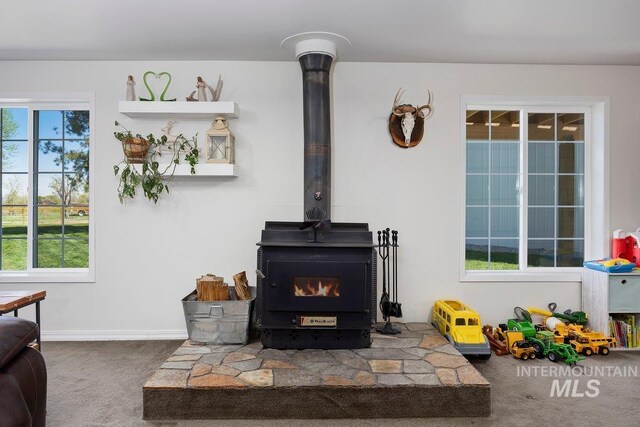 interior details featuring a wood stove and carpet flooring