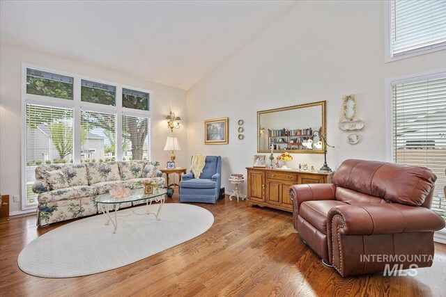 living room with high vaulted ceiling and wood finished floors